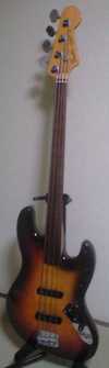 Fretless T 1.jpg